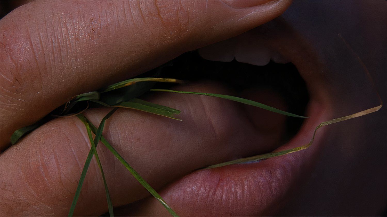 Wuthering Heights First Image Sensually Teases Saltburn Director Emerald Fennell’s Next Movie