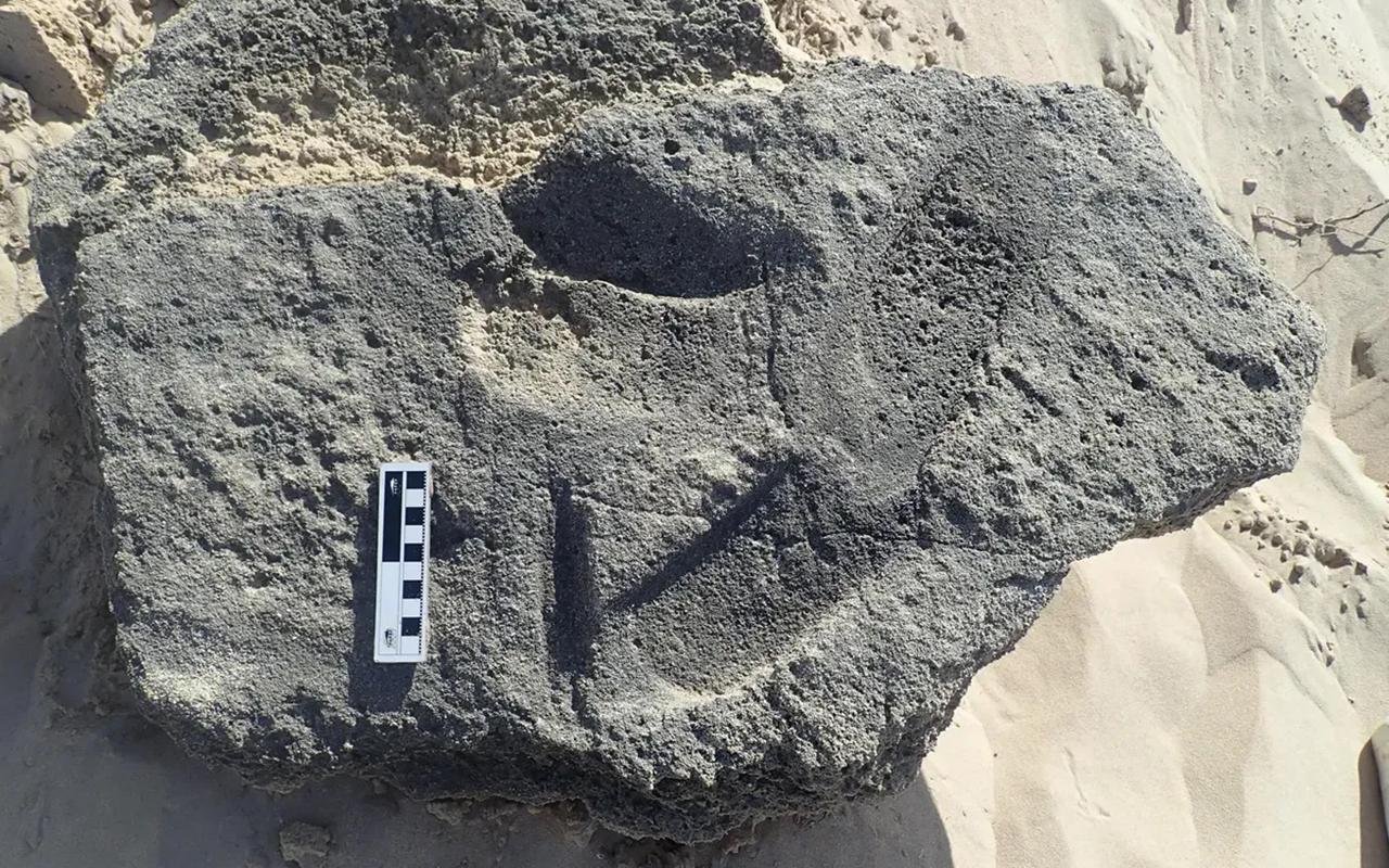 Ancient footprints suggest humans may have worn shoes more than 100,000 years ago