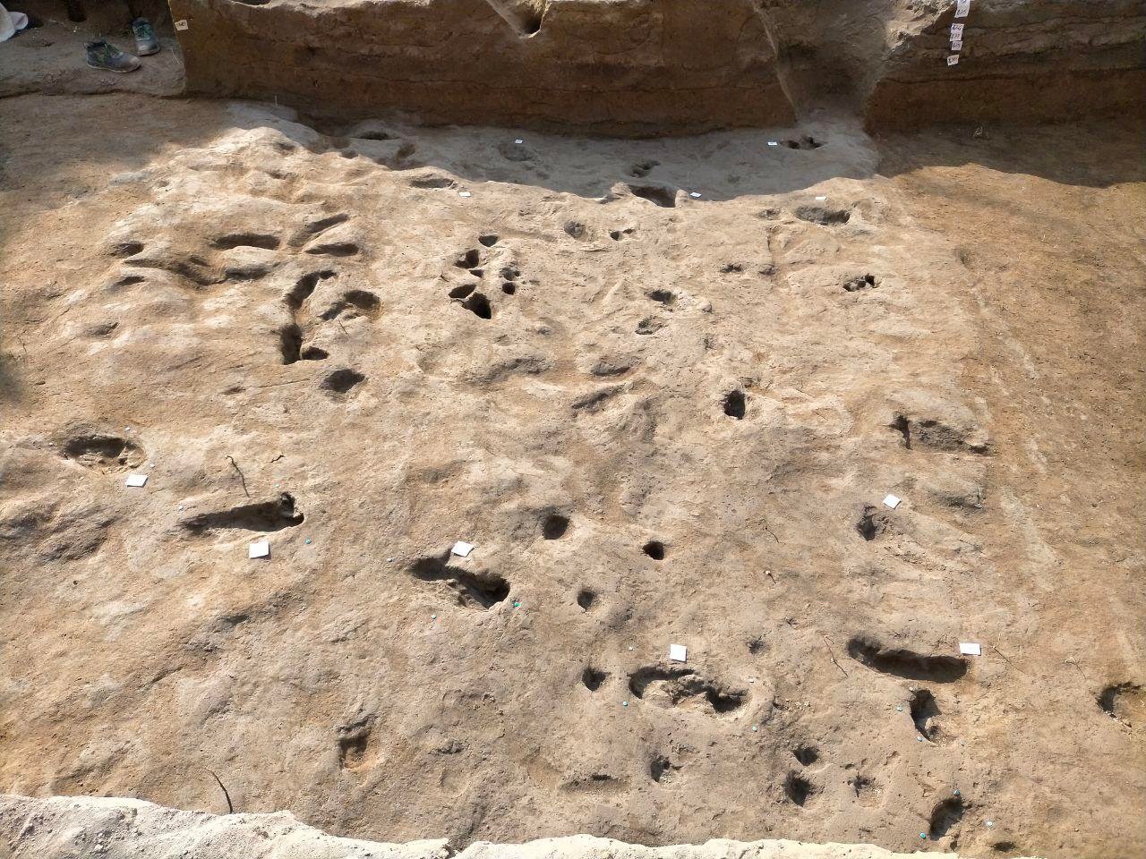 4,000-year-old footprints near Pompeii reveal Bronze Age escape from Vesuvius