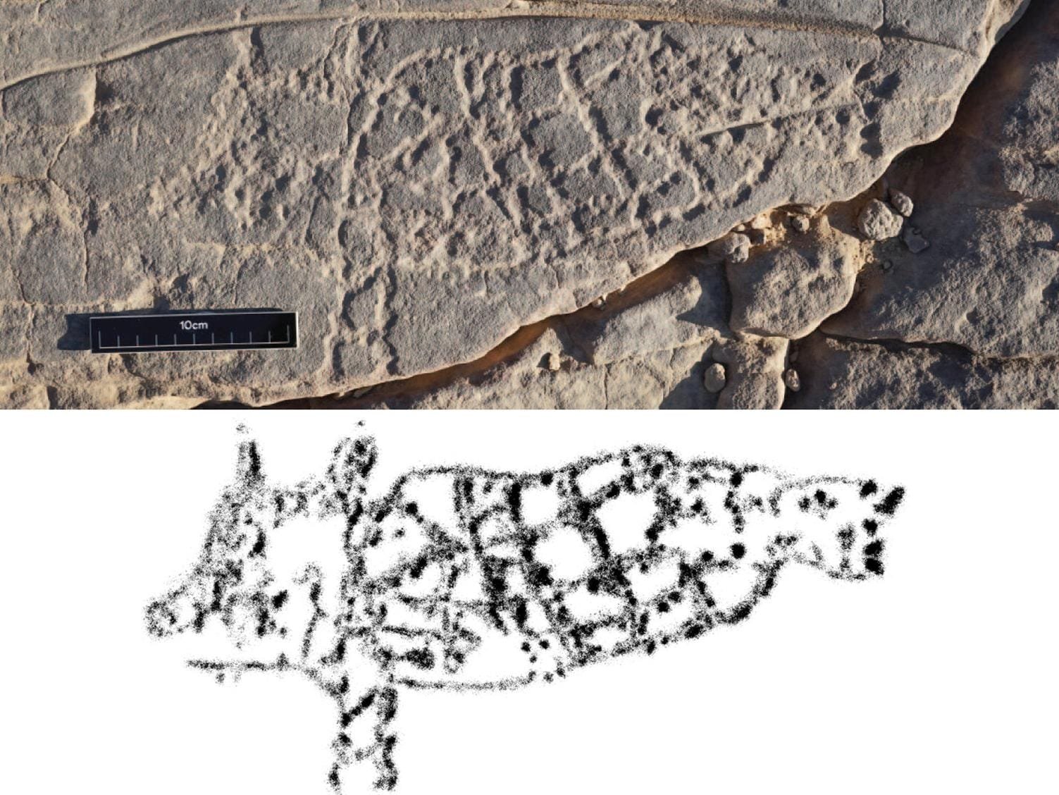 Discovery of goat-fish petroglyph unveils Egyptian understanding of zodiac symbols