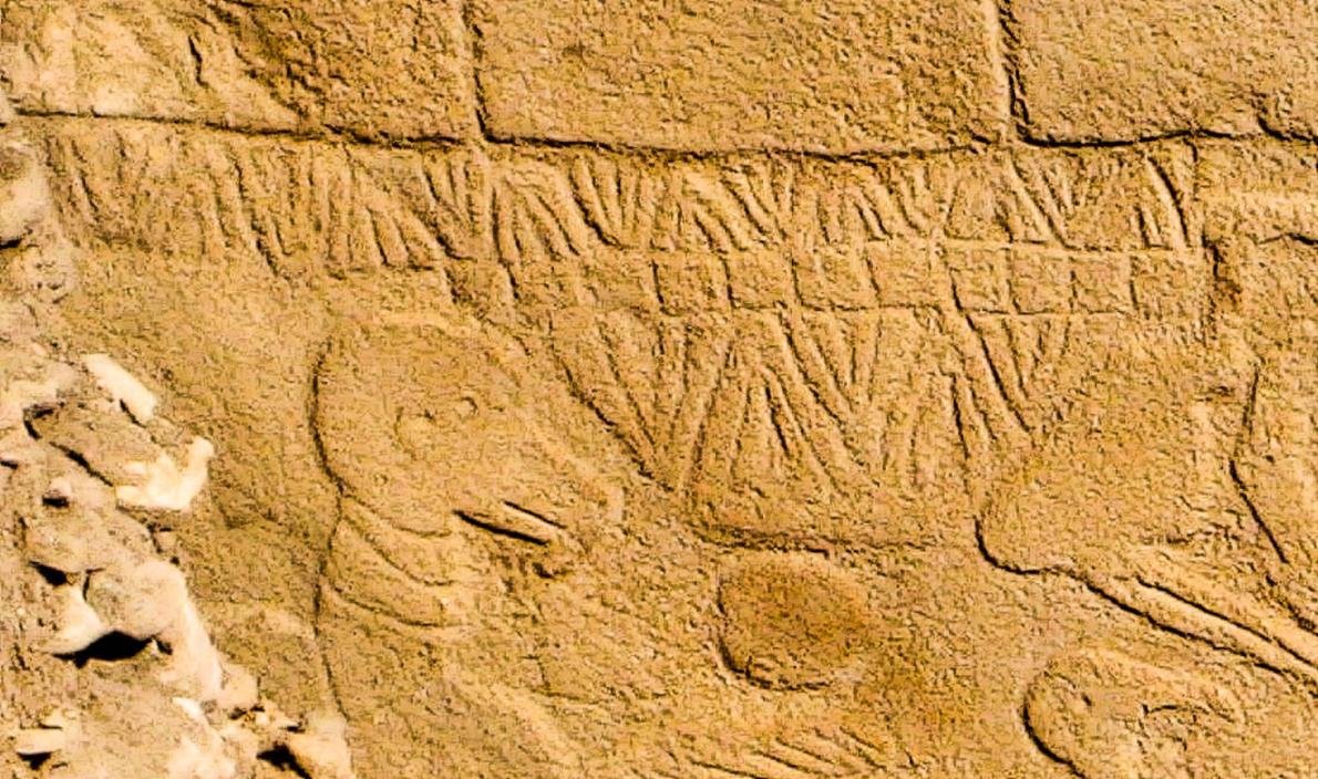 Ancient carvings at Göbekli Tepe may represent world’s oldest calendar