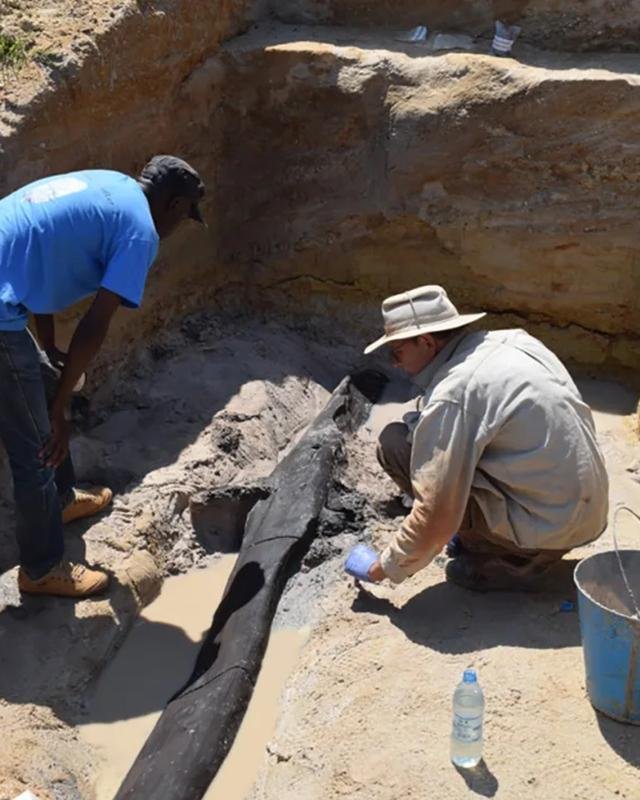 Archaeologists discover half-a-million-year-old wooden structure in Zambia