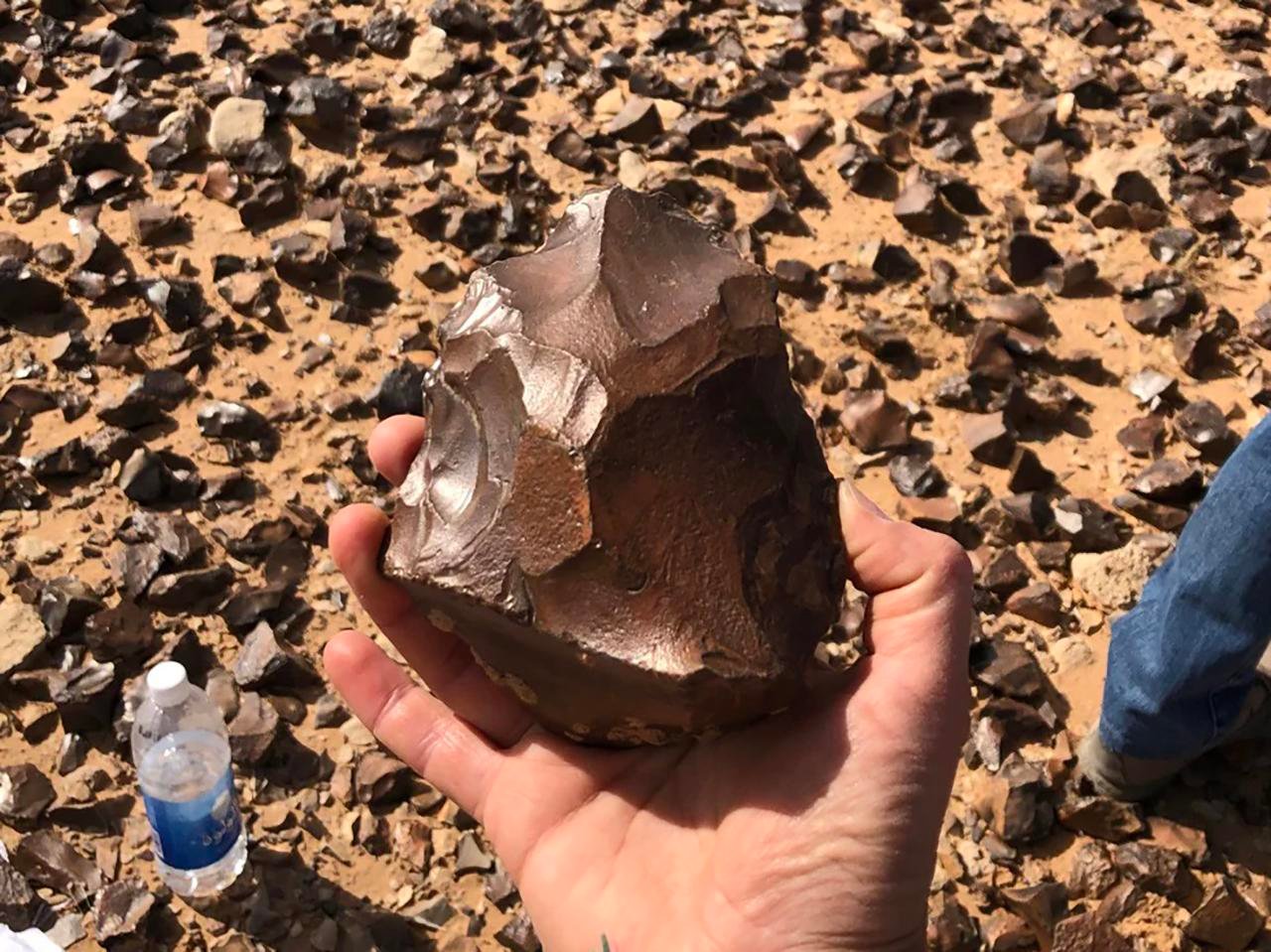 Archaeologists uncover 1.5-million-year-old hand axes in Iraqi desert