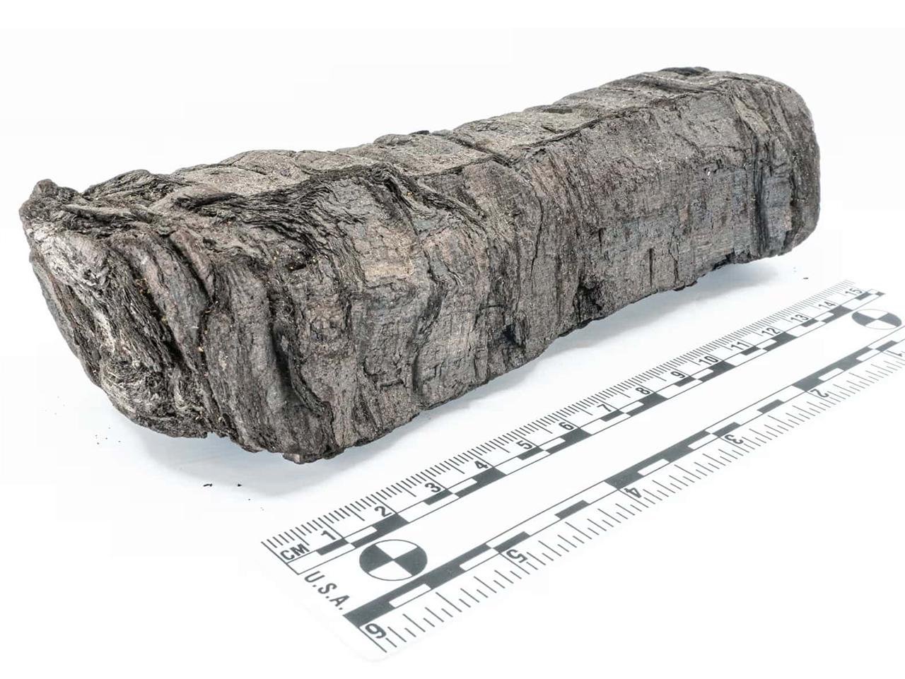 AI reveals first look inside 2,000-year-old Herculaneum scroll