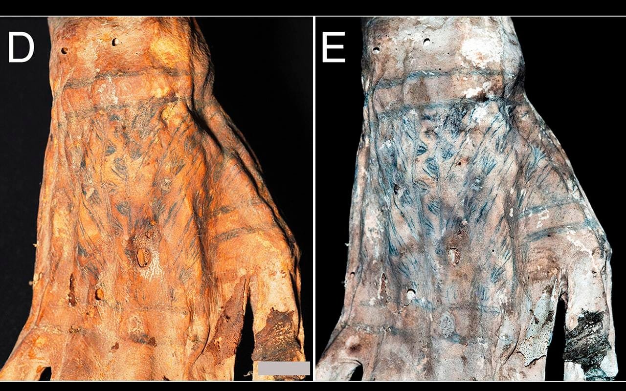 Lasers reveal hidden tattoos on 1,200-year-old Peruvian mummies