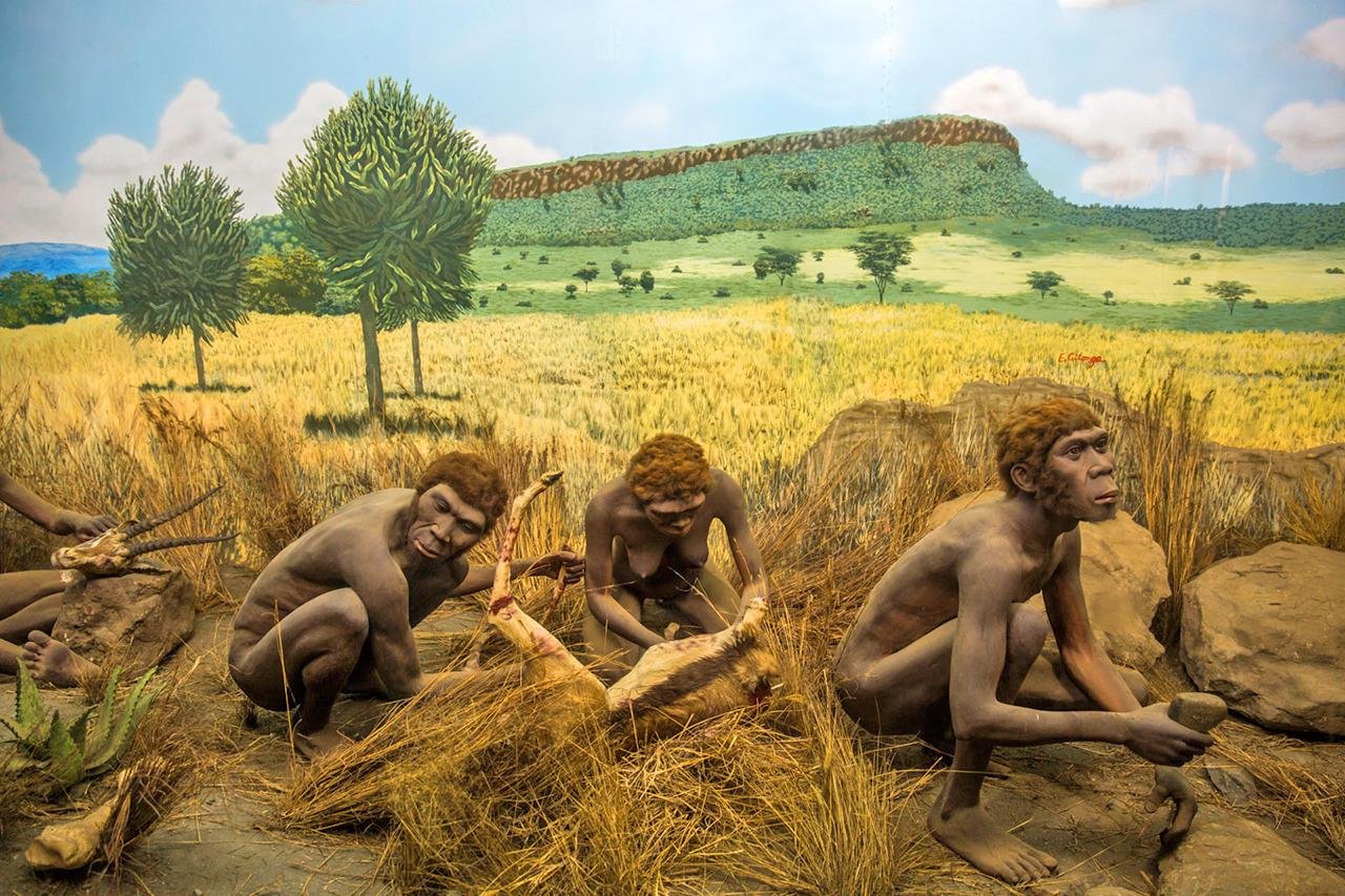 Early hominins first arrived in Europe 1.3 million years ago