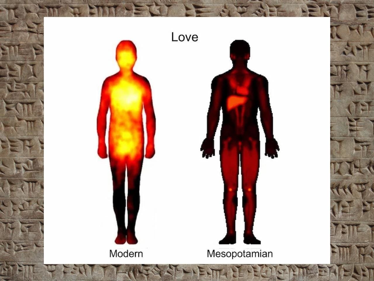 Ancient Mesopotamians felt love in their liver and anger in their feet, Akkadian texts reveal