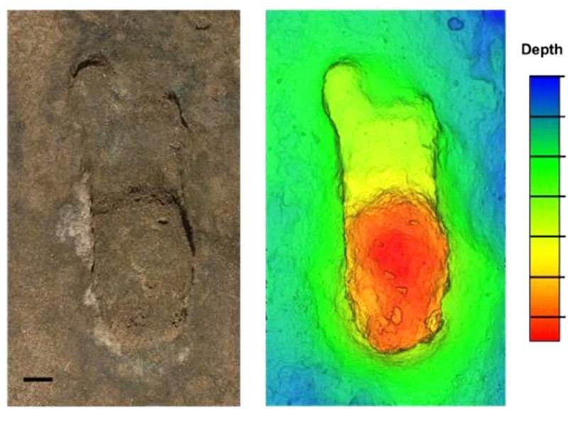 90,000-year-old human footprints discovered on Moroccan beach