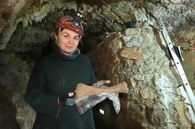 Hundreds of mammoth bones and prehistoric animal remains found in Paradise Cave in Poland