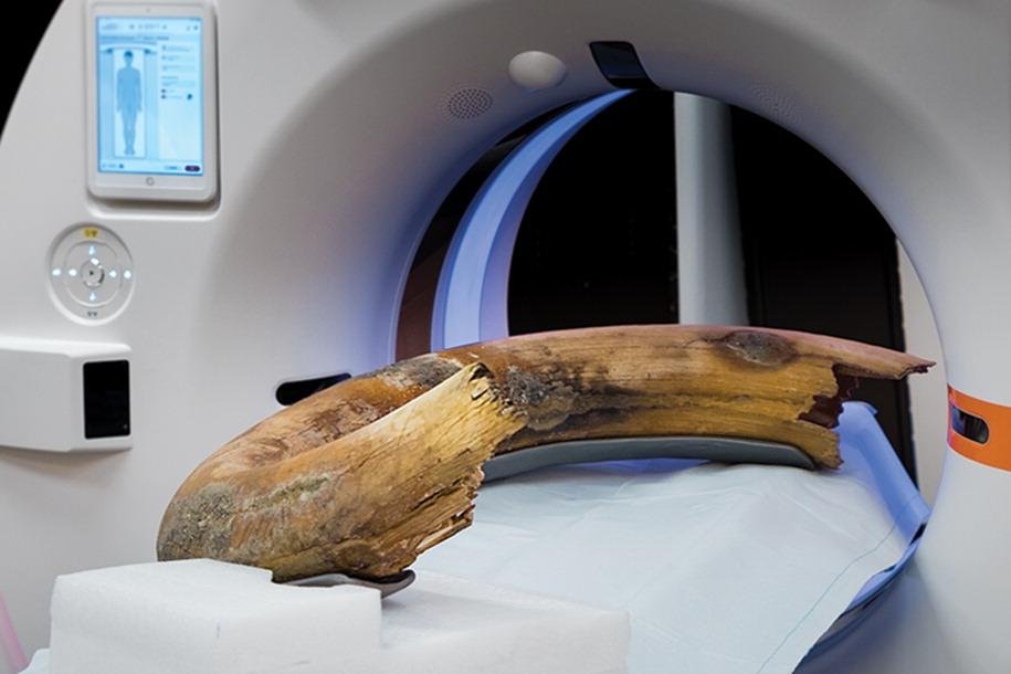 CT scanner captures woolly mammoth tusk