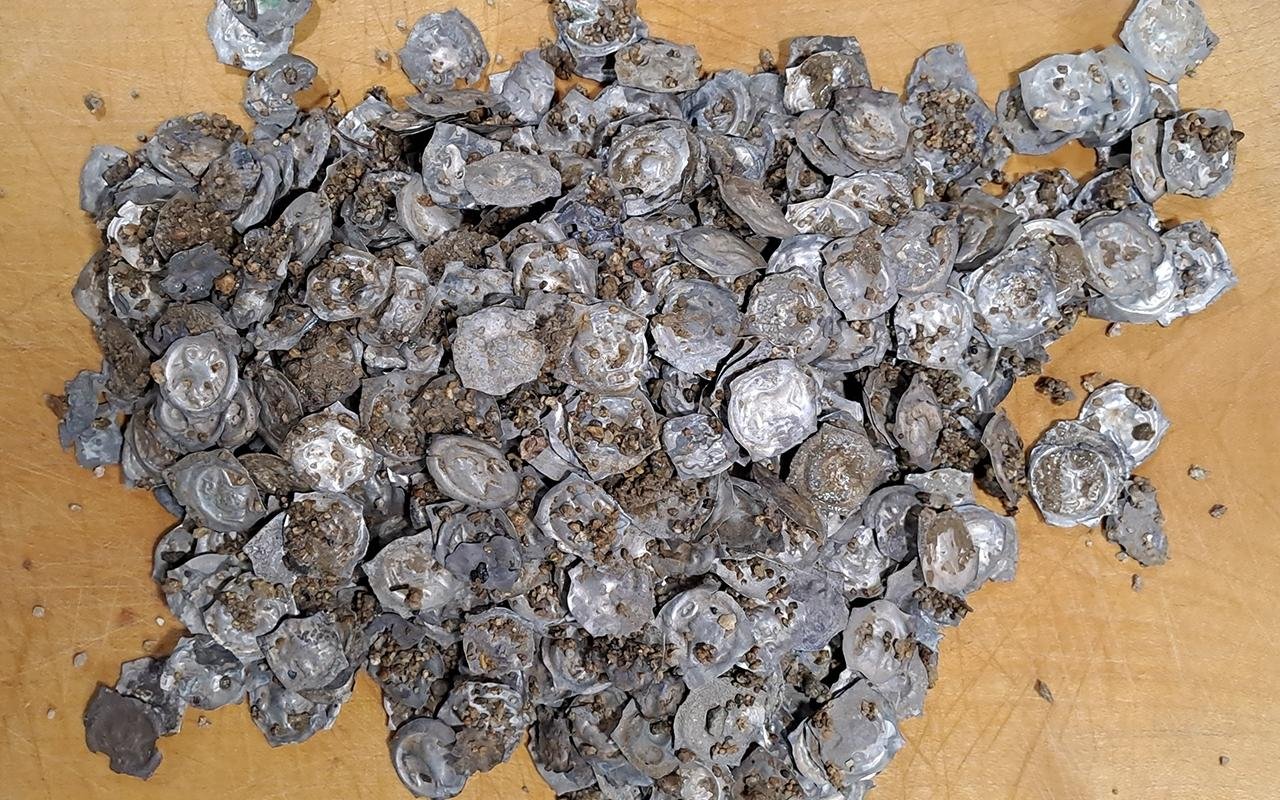 Enormous medieval coin hoard unearthed in Southwest Germany