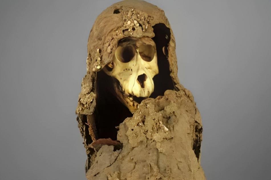 Mystery of ancient Egypt’s baboon mummies finally solved after 118 years