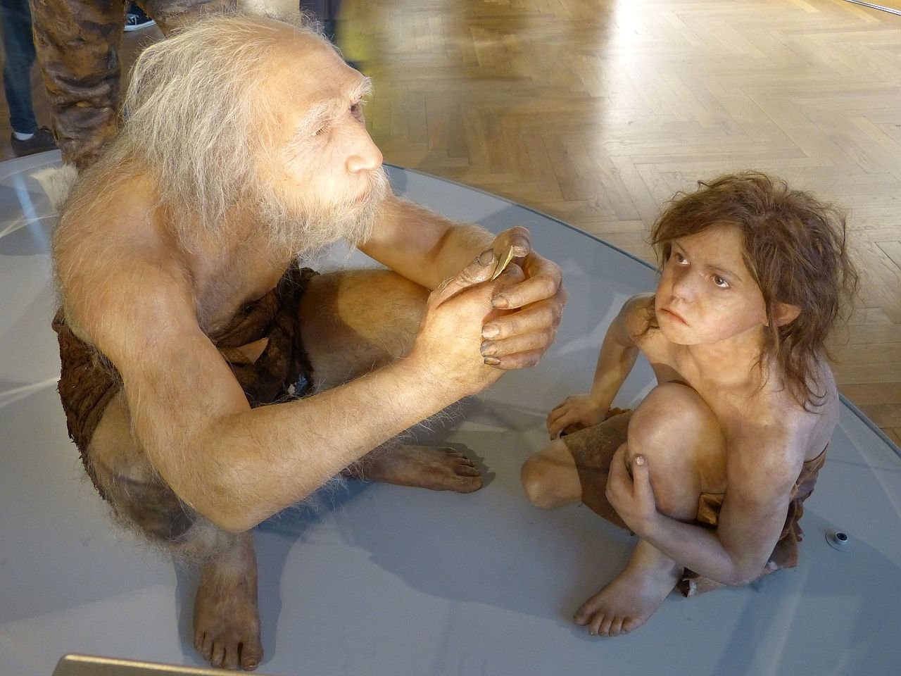 Ancient Neanderthal reveals earliest known zoonotic disease transmission