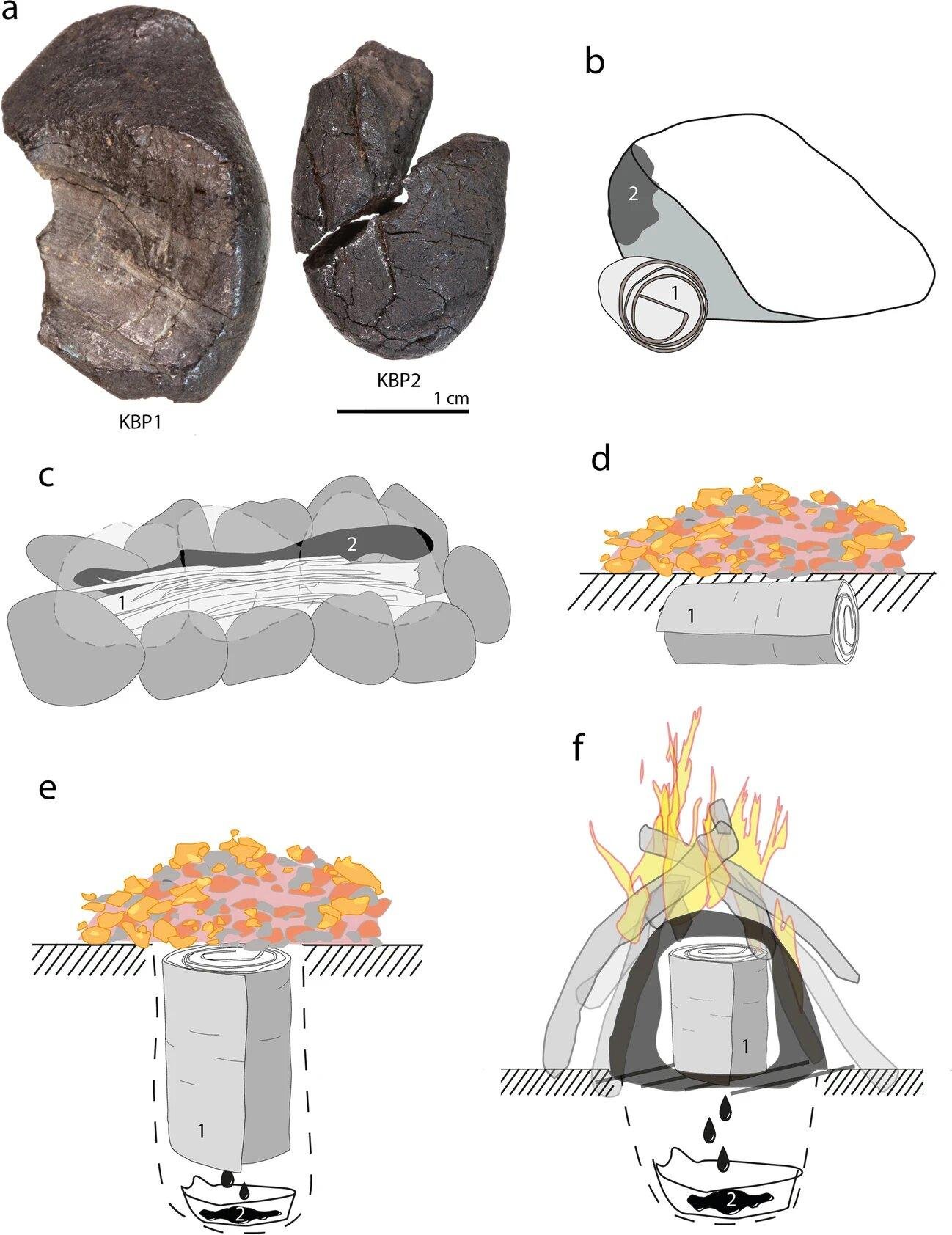 Study suggests how Neanderthals made the first glue Study suggests how Neanderthals made the first glue