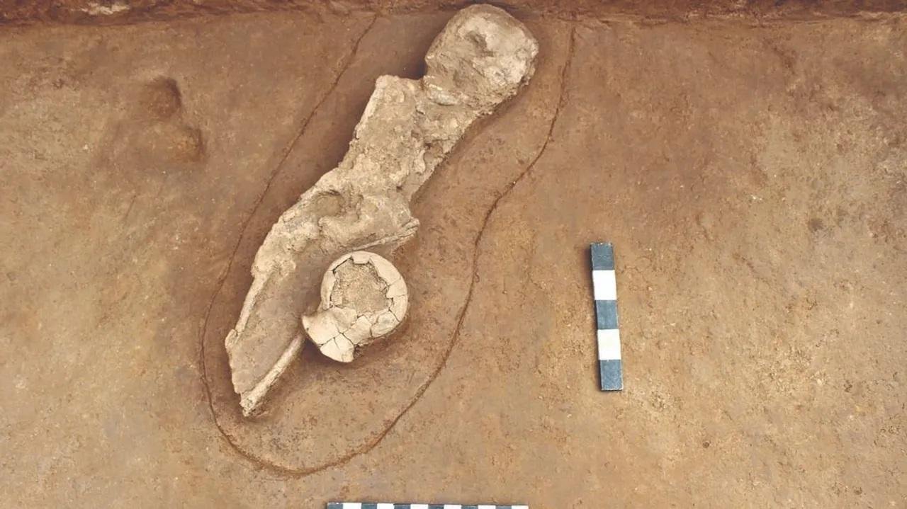 Archaeologists unearth neolithic child burial site in Tamil Nadu, India