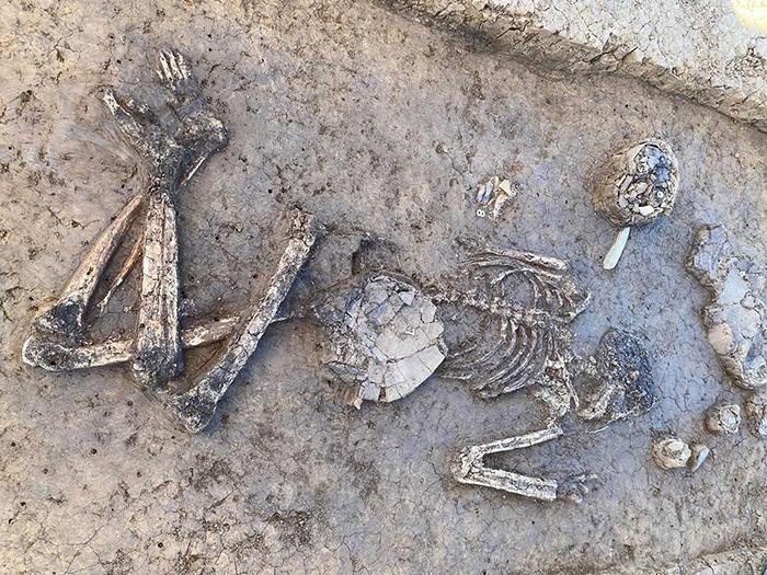 6,800-year-old burial of Neolithic mayor uncovered in Germany