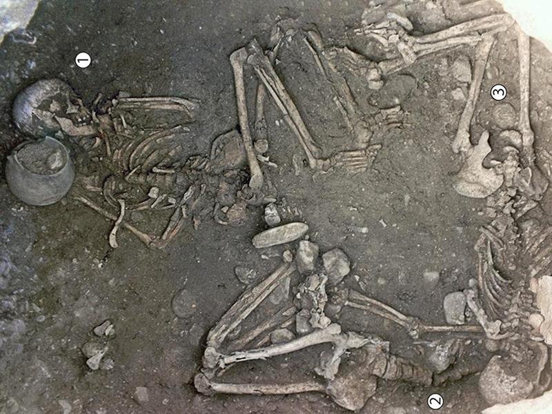 Study suggests Neolithic women in Europe were tied up and buried alive in ritual sacrifices