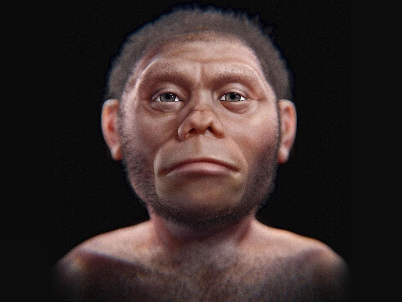 Homo juluensis: Scientists discovered a new species of archaic human