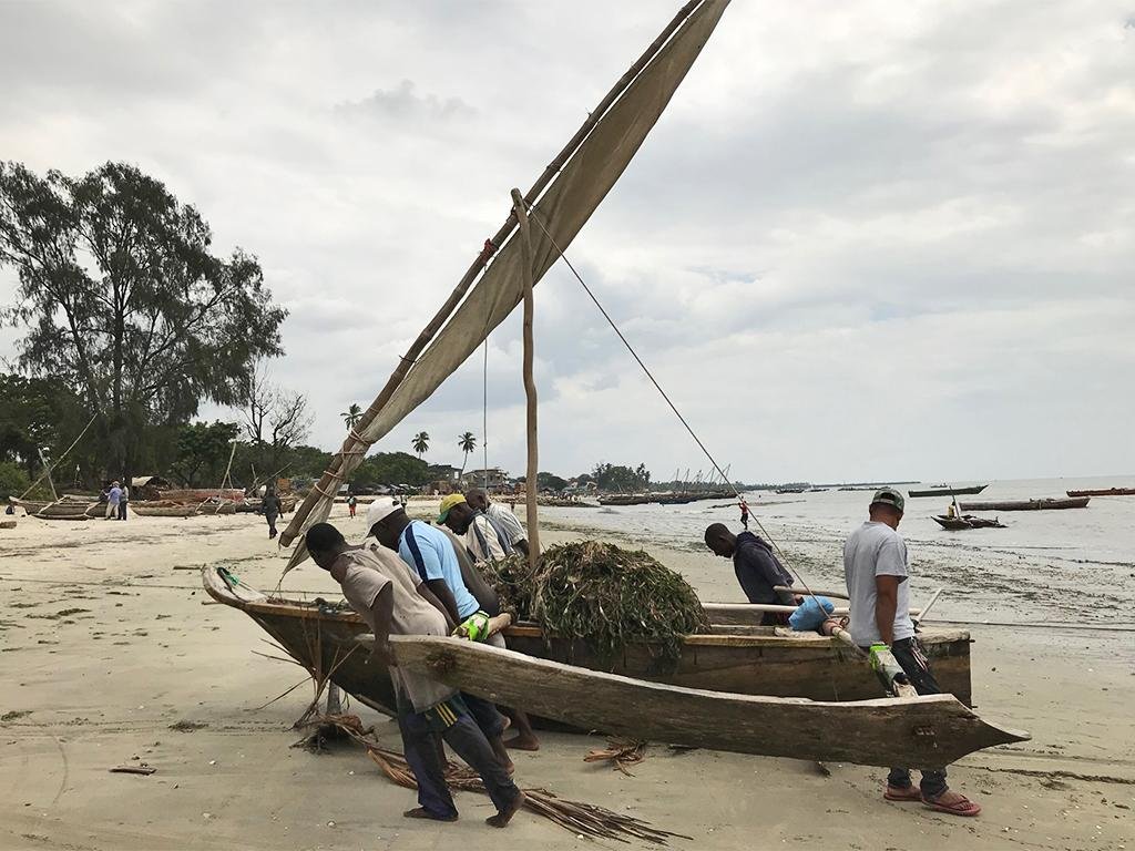 Study of East African maritime traditions shows changes in boatbuilding