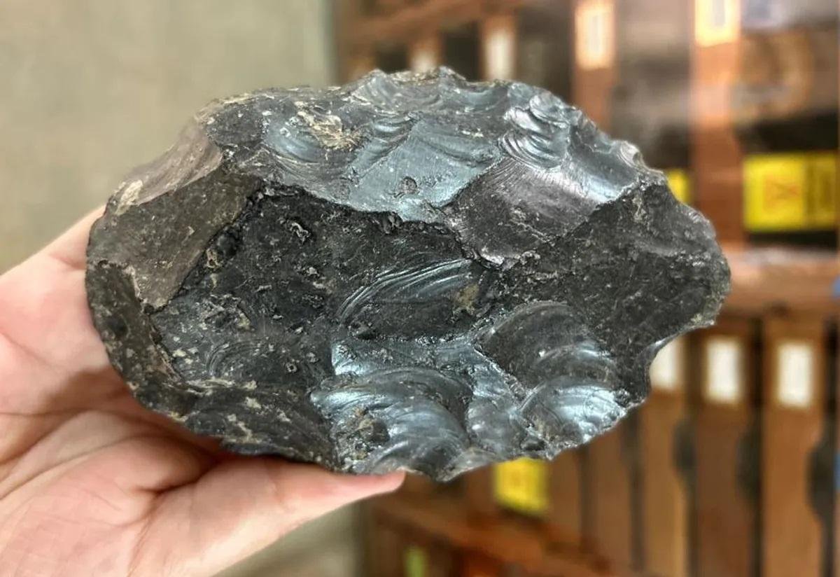 1.2-million-year-old obsidian handaxe-making workshop found in Ethiopia 1.2-million-year-old obsidian handaxe-making workshop found in Ethiopia