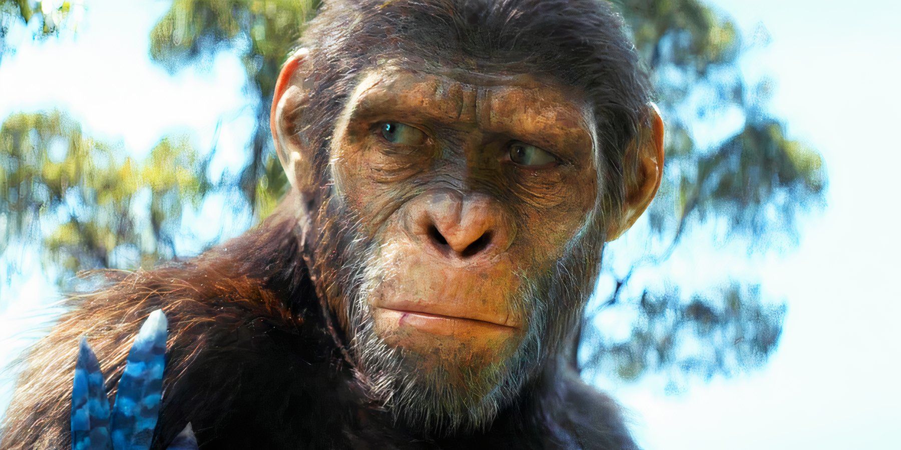 How Kingdom Of The Planet Of The Apes Director’s VFX Past Influenced Oscar-Nominated CGI Explained By VFX Supervisor