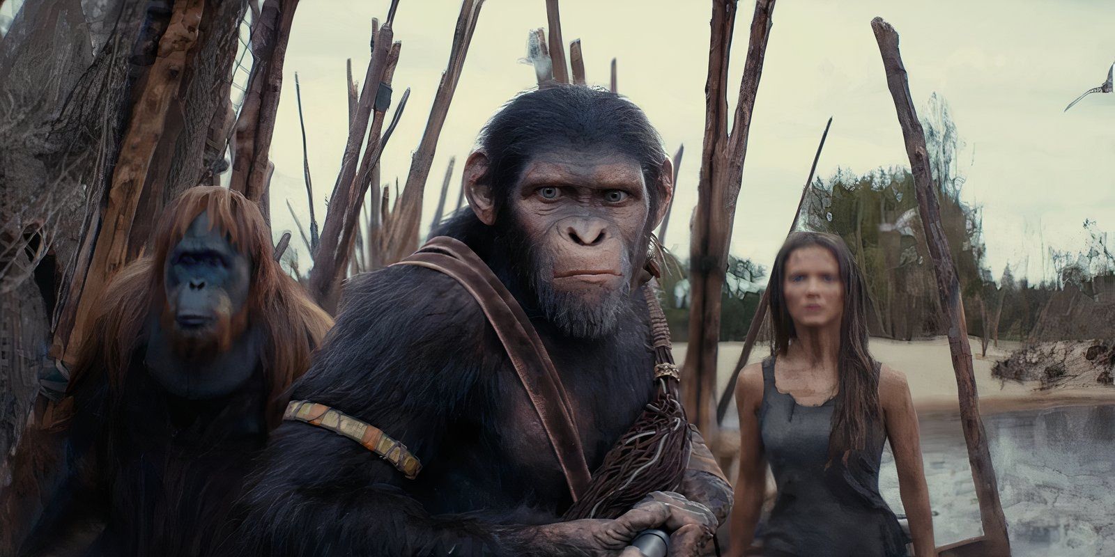 Kingdom Of The Planet Of The Apes: How VFX Team Overcame The Challenge Of Combining Practical Effects & CGI Explained By Supervisor