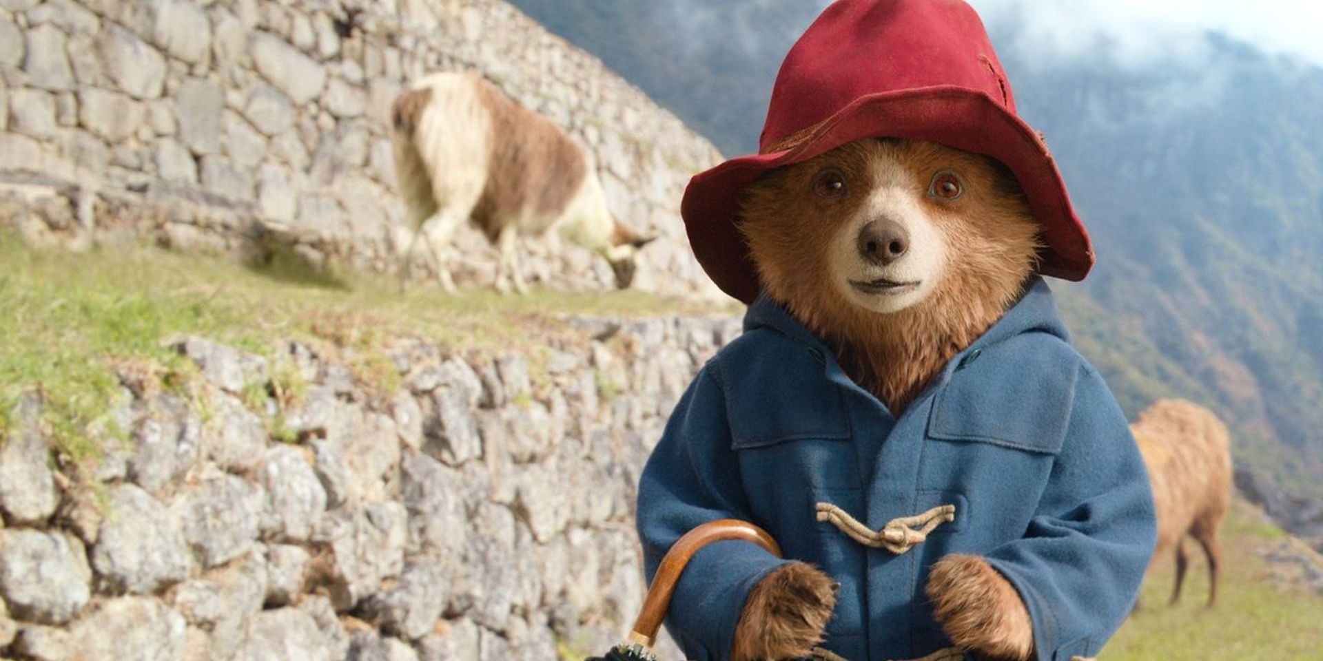 Paddington In Peru Finally Answered A Burning Question About The Bear