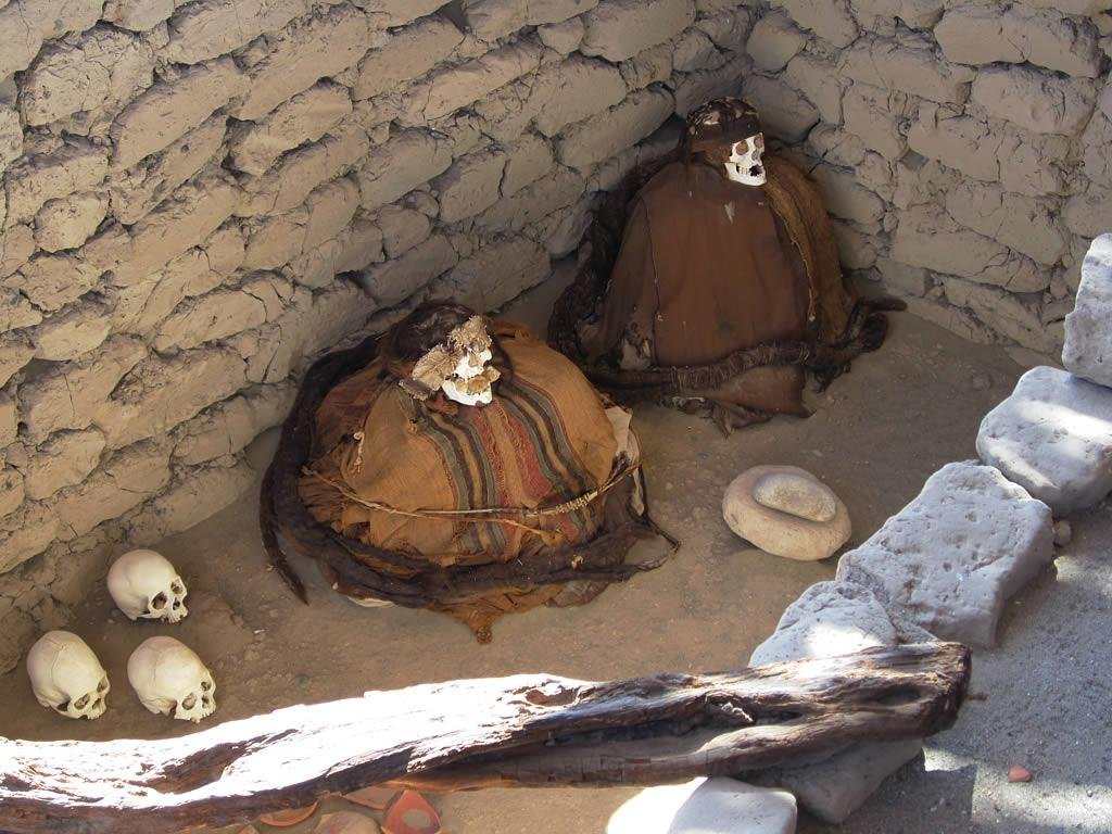 Ancient mummy surrounded by coca leaves unearthed in Peru’s capital Ancient mummy surrounded by coca leaves unearthed in Peru’s capital