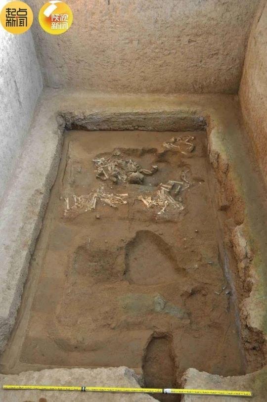 Rare sheep chariot found near mausoleum of China’s first emperor