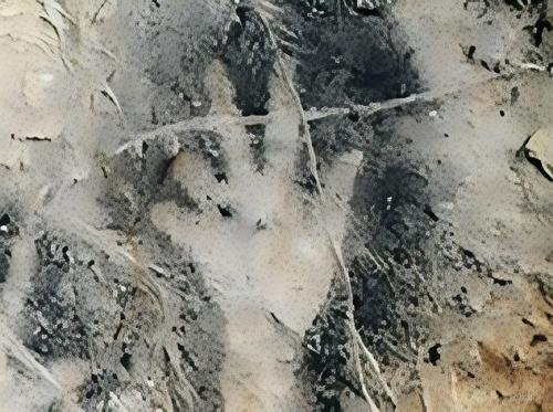 Ritualistic finger amputation revealed in prehistoric cave art