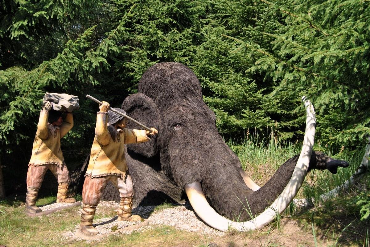 Neanderthals hunted and butchered straight-tusked elephants 125,000 years ago Neanderthals hunted and butchered straight-tusked elephants 125,000 years ago