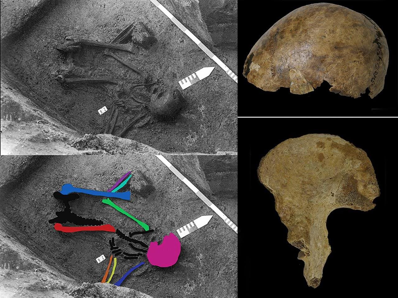 Archaeologists try to solve mystery of puzzling skeleton made from bones of 5 people found in Belgium