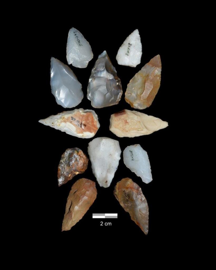 Archaeological discovery in Ethiopia reveals human survival following Toba supervolcano eruption 74,000 years ago