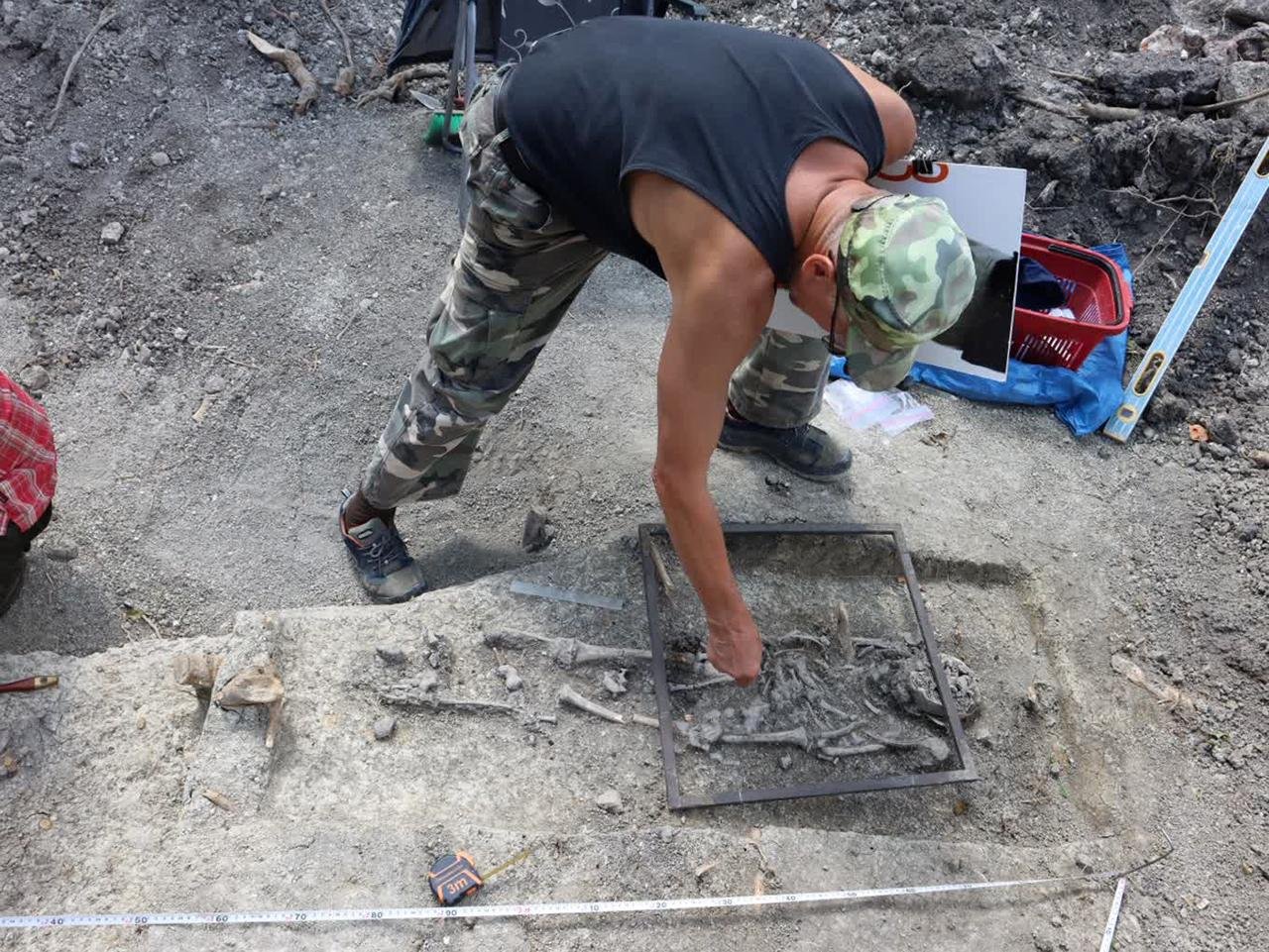 Medieval vampire burial unearthed in Chełm, Poland