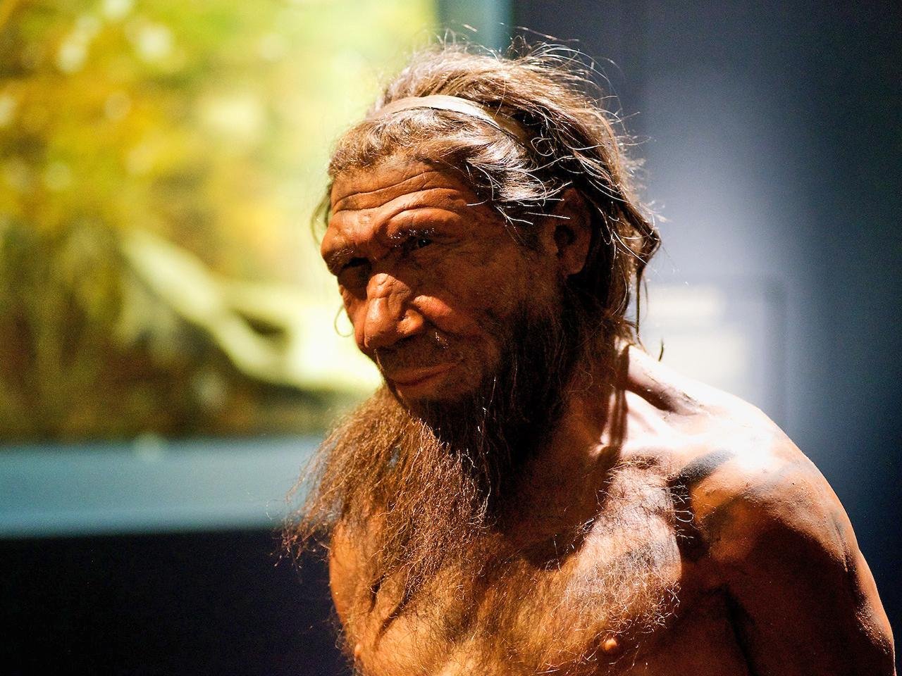 First known tuberculosis cases in Neanderthals revealed in Subalyuk Cave, Hungary