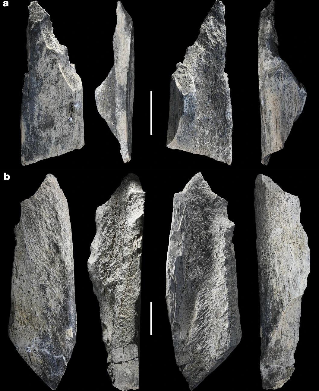 1.5-million-year-old bone tools discovered in Tanzania are the oldest ever, reshaping early hominin technology