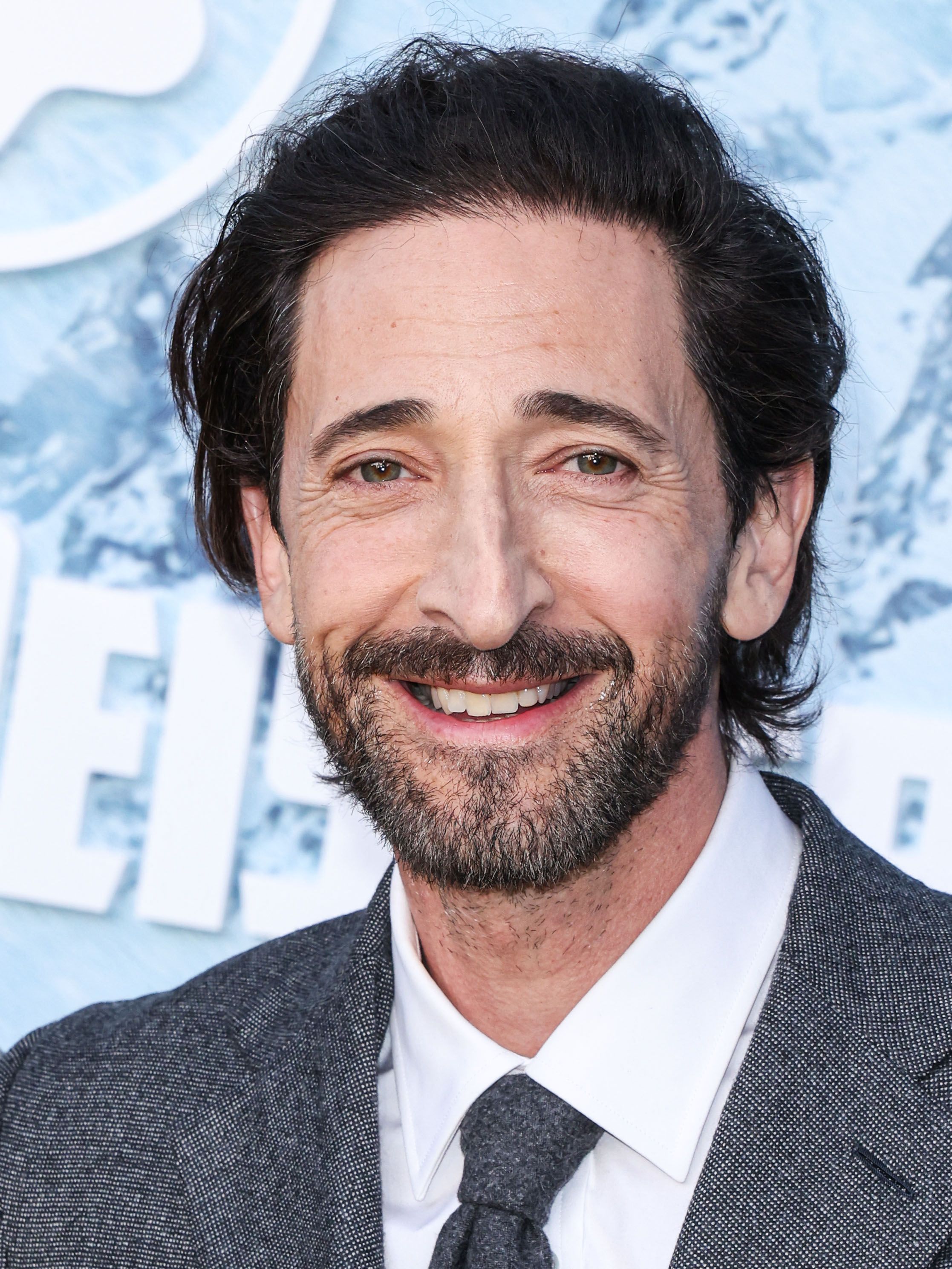 All 5 Wes Anderson Movies That Adrien Brody Starred In, Ranked