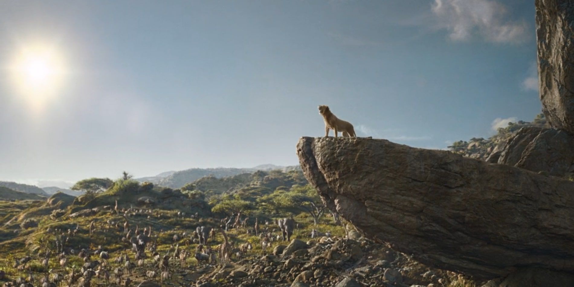 Simba & Nala’s Son In Mufasa: The Lion King Is A Big Tease For The Franchise’s Future Simba & Nala’s Son In Mufasa: The Lion King Is A Big Tease For The Franchise’s Future
