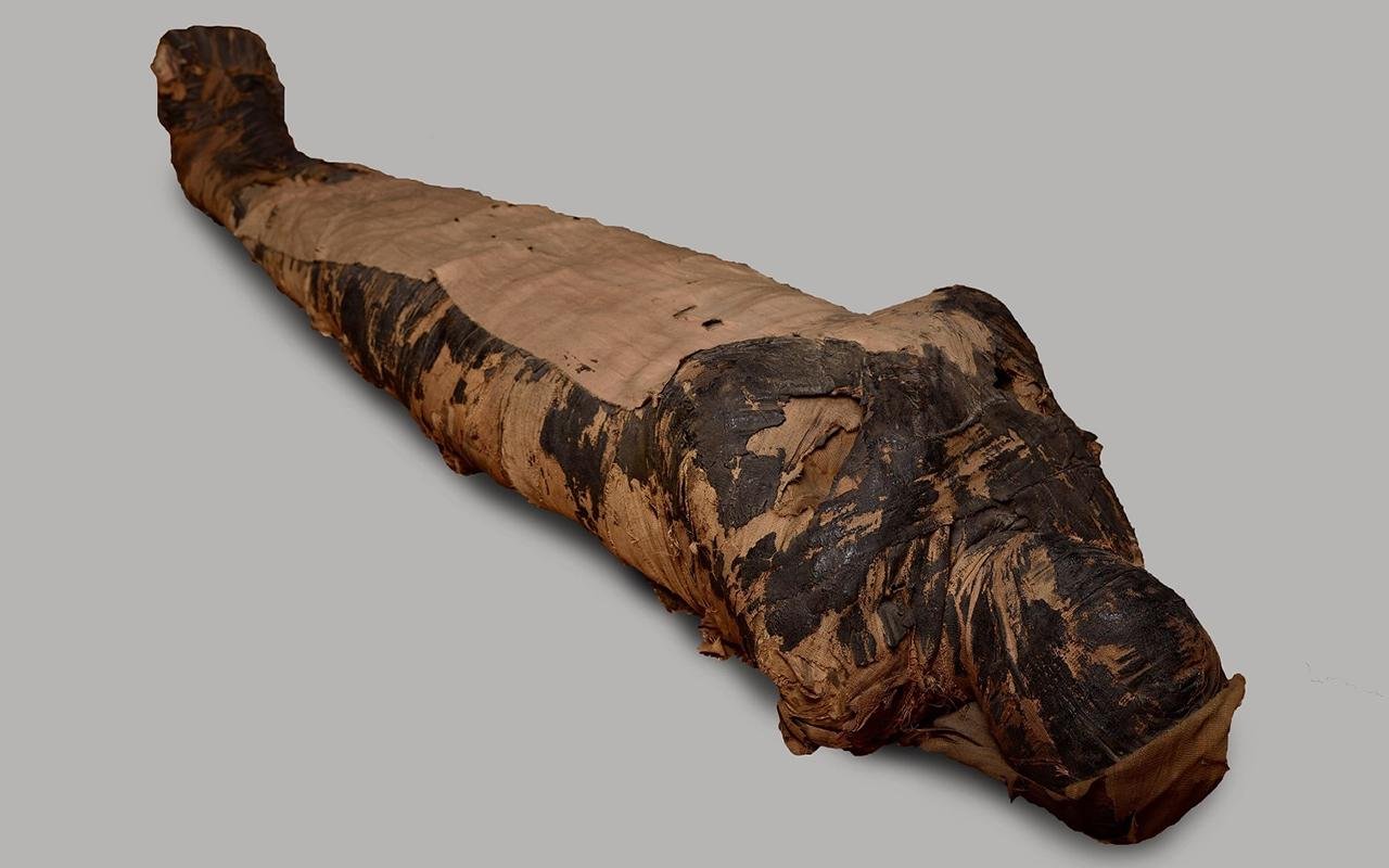 New study debunks claims of pregnancy and cancer in ‘Mysterious Lady’ mummy