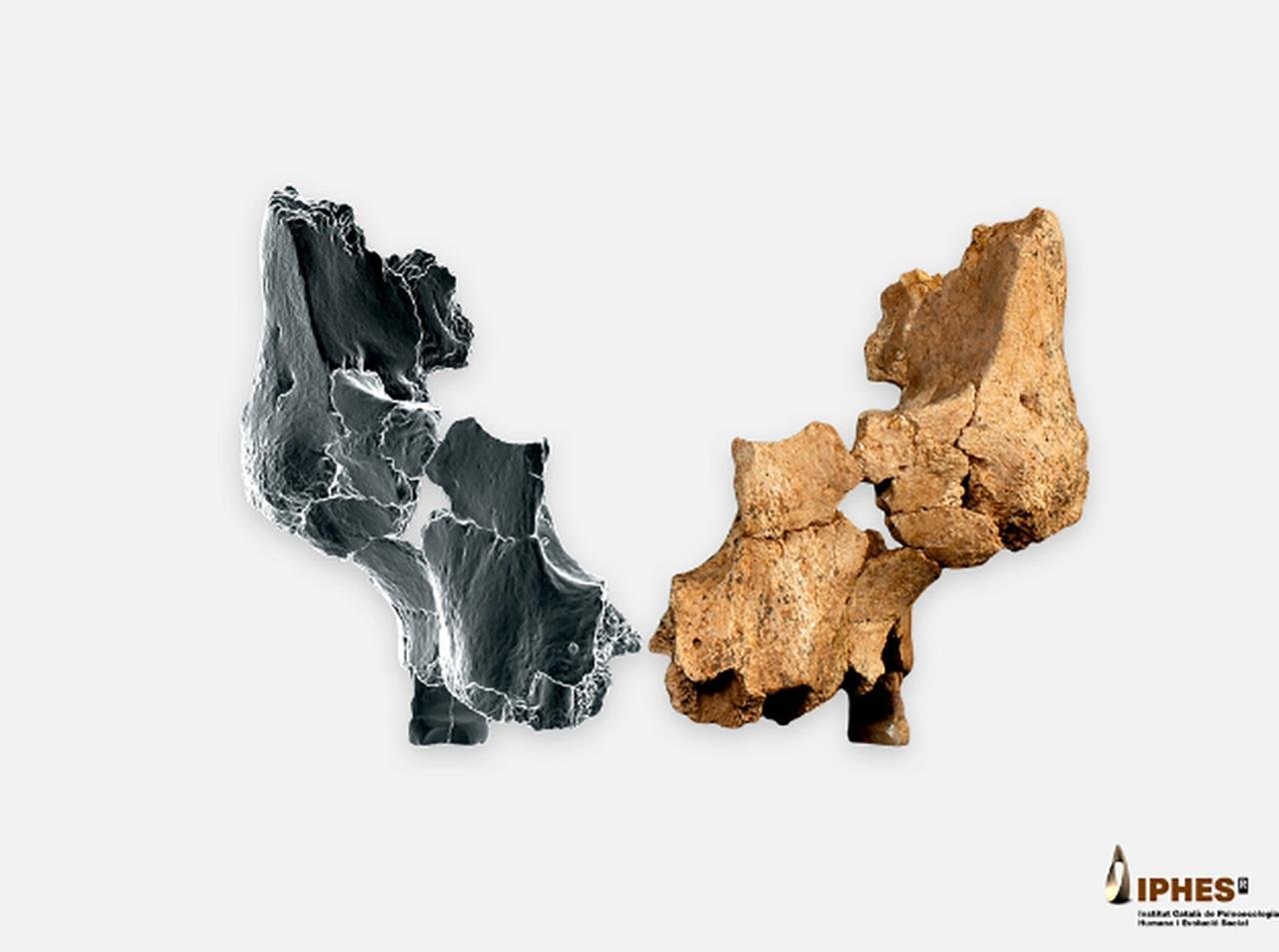 Oldest human face in Western Europe found in Spain, rewriting early European settlement history