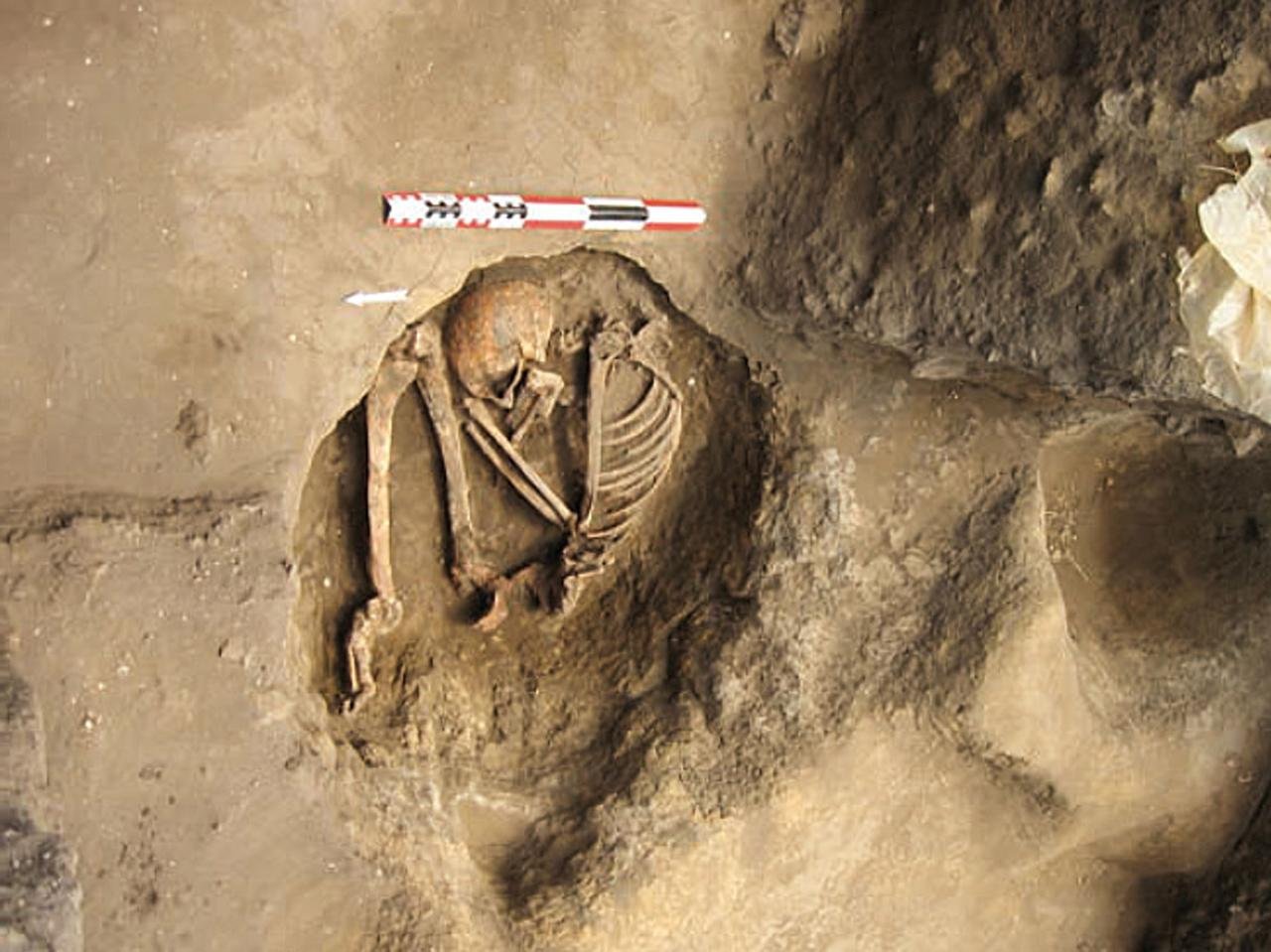 Stone Age European hunter-gatherers reached North Africa by boat, ancient DNA reveals