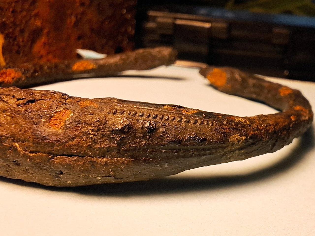 Rare Viking-era bracelet discovered in Swedish wetland by pᴀsserby