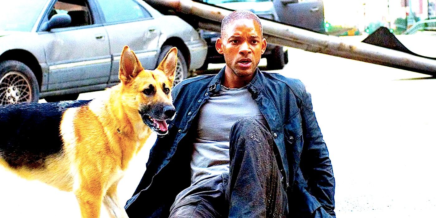I Am Legend 2: Confirmation, Cast, Story & Everything We Know I Am Legend 2: Confirmation, Cast, Story & Everything We Know