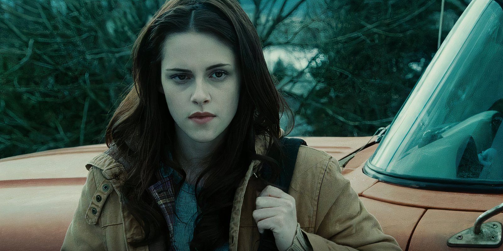 Twilight Cast & Character Guide