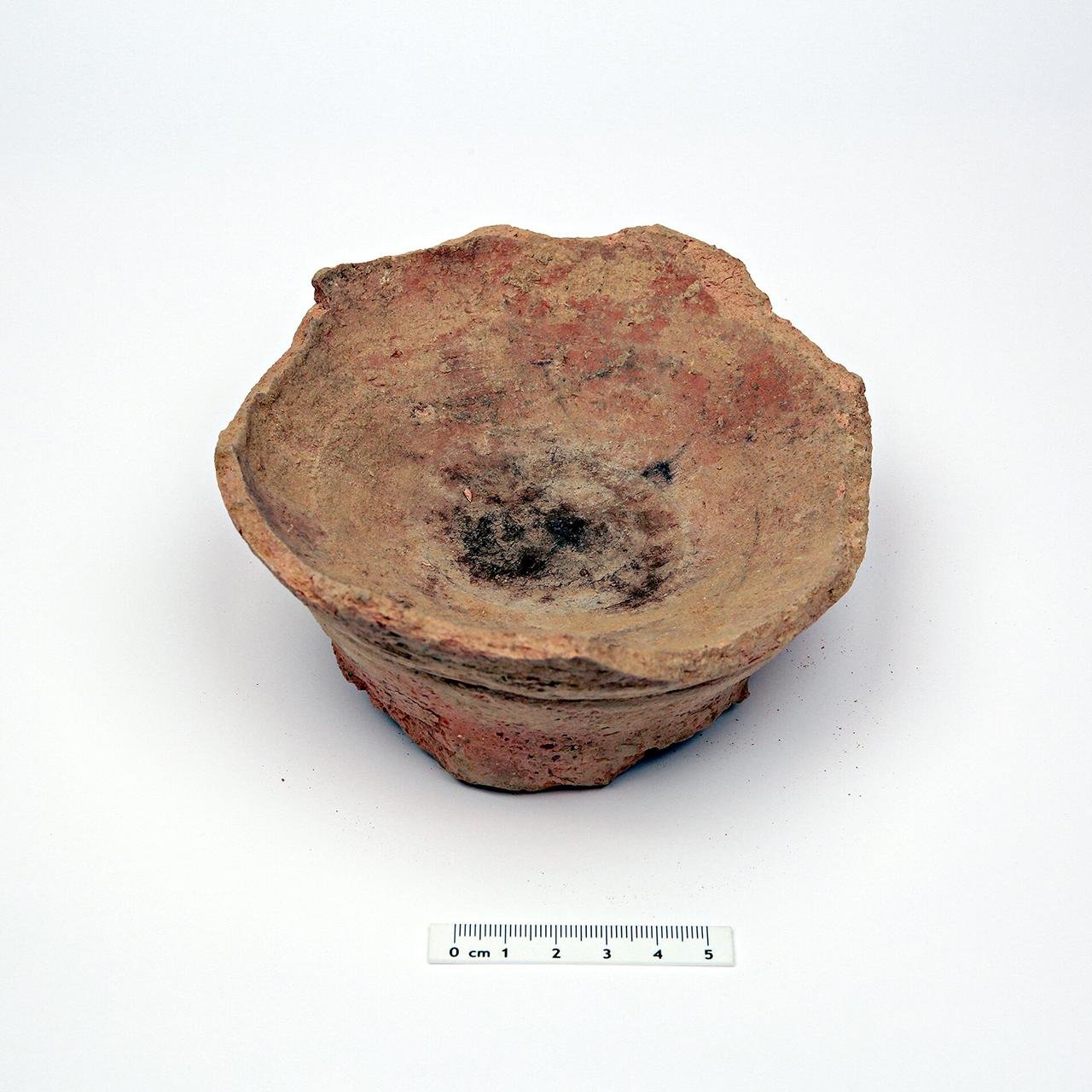 Earliest use of psychoactive plant ‘harmal’ uncovered in ancient Arabia for health and healing