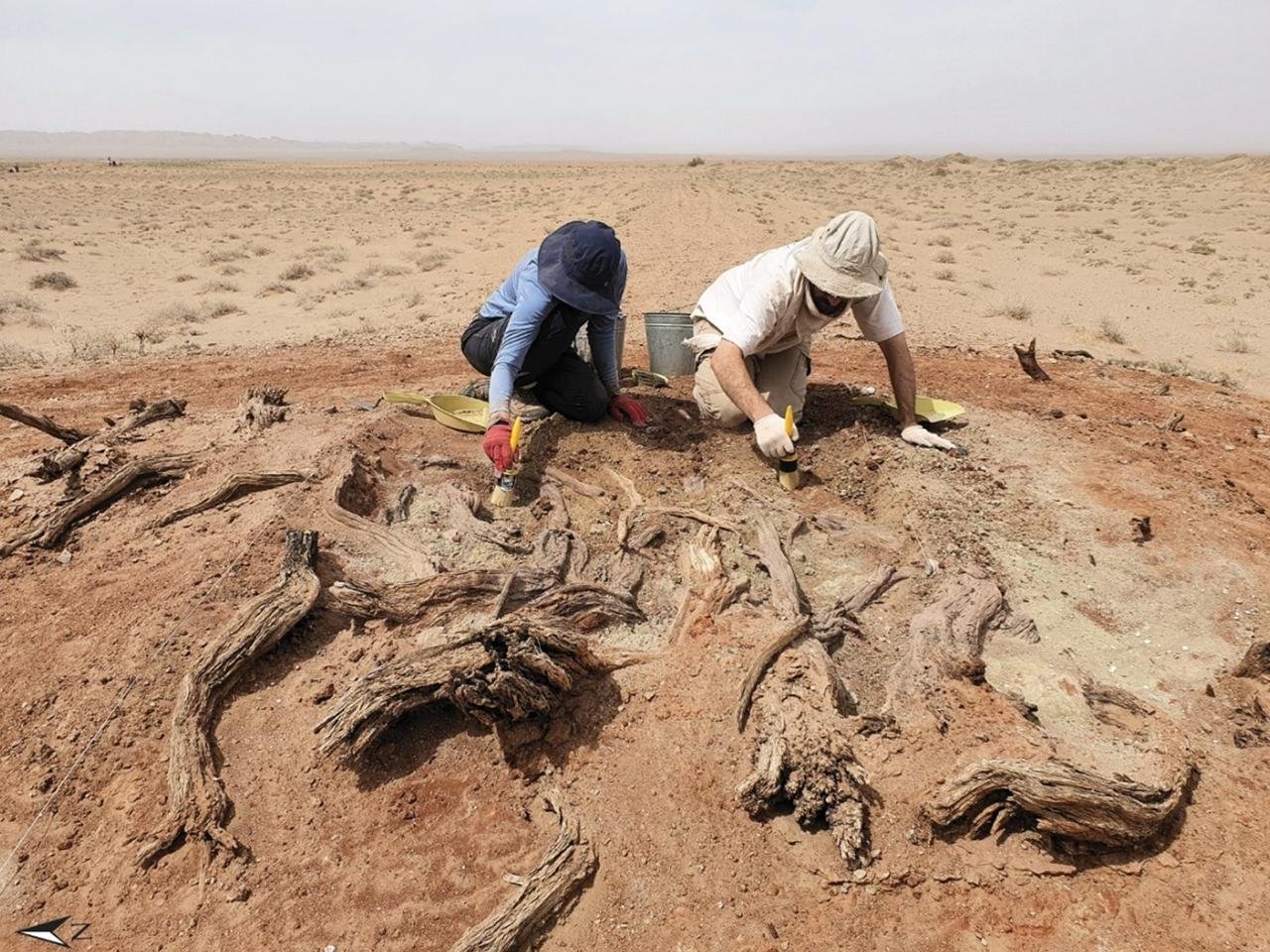 Secrets of the mysterious Gobi wall revealed: archaeologists uncover imperial purpose behind 200-mile structure