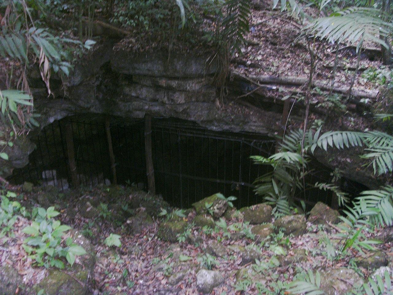 Chopped-up human remains in Guatemala’s ‘blood cave’ reveal ancient Maya sacrificial rituals