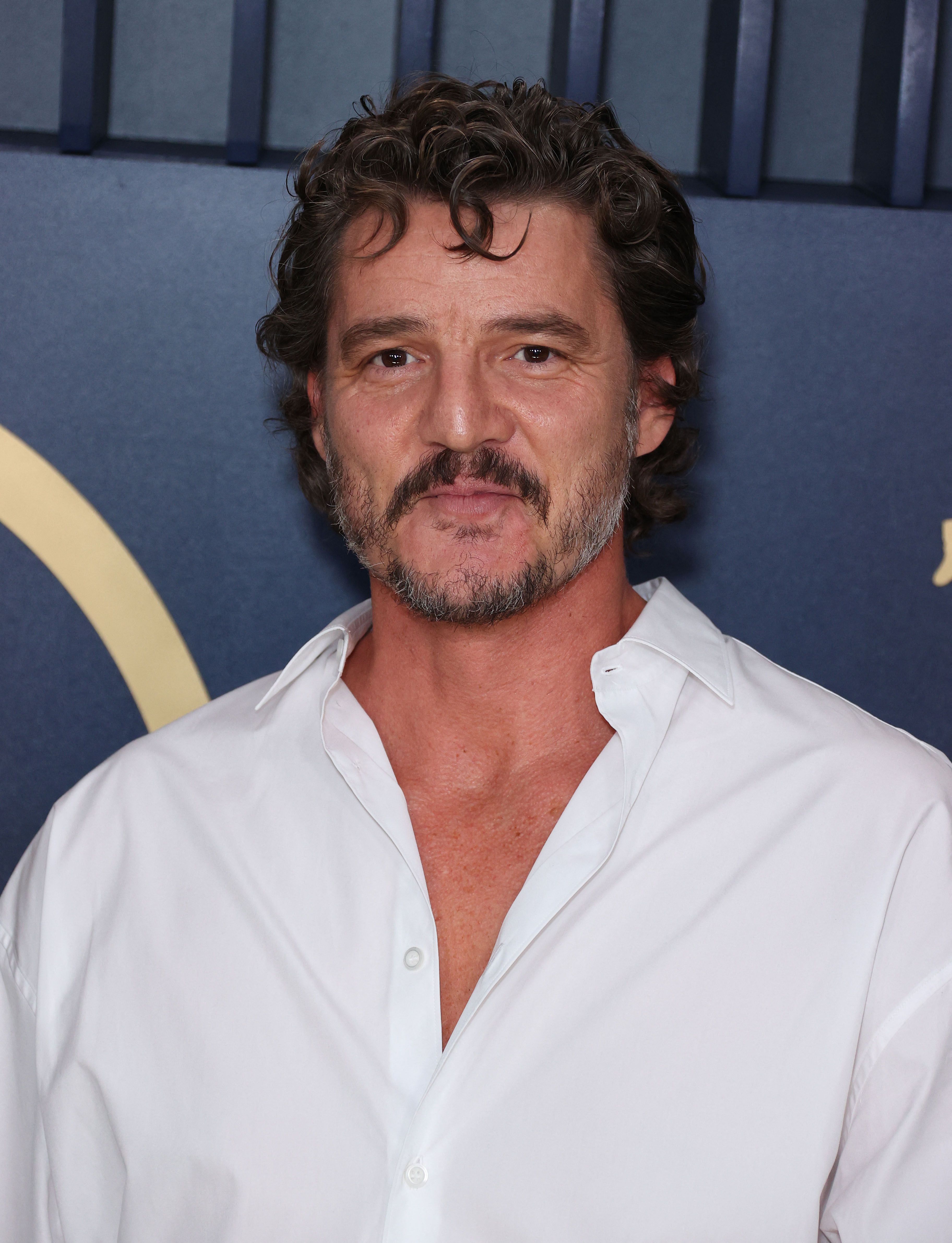 Pedro Pascal Has Officially Become The New Version Of Sean Bean
