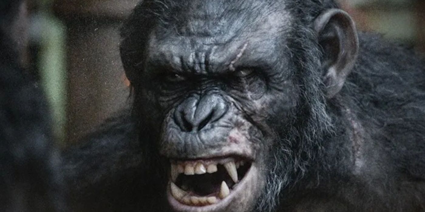 What The Planet Of The Apes Movies Get Wrong, According To A Primatologist
