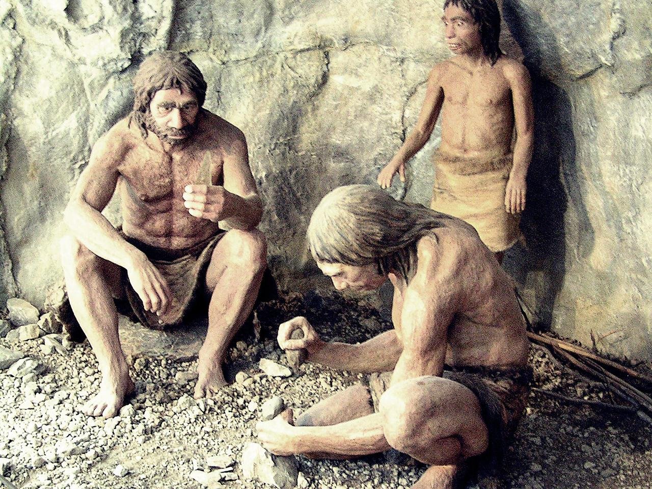 Neanderthals’ intelligence and toolmaking skills revealed by modern technology Neanderthals’ intelligence and toolmaking skills revealed by modern technology